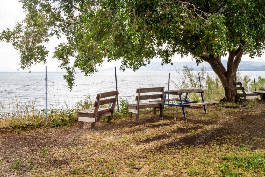 Benches under a tree overlooking the Sea of Galilee, Lake Tiberi