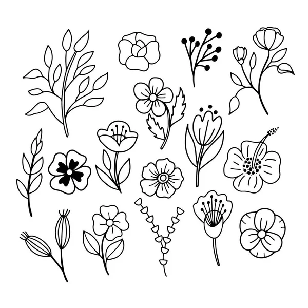 Immagine lineare vettoriale di foglie e fiori su sfondo bianco. Per la progettazione di cartoline, sfondi, stampe su vestiti, tessuti, carta da imballaggio, per illustrazioni botaniche — Vettoriale Stock