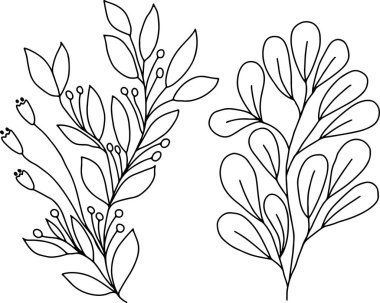 Beyaz arkaplanda vektör çizimi, doğrusal olarak çiçek. Duvar kağıtlarının, telefon kılıflarının, defterlerin, boyama kitaplarının, botanik çizimlerin tasarımı için.