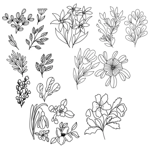 Ensemble de fleurs dans des graphiques vectoriels, dans un style linéaire, pour la décoration de fonds d'écran, tatouages, couvertures de carnet, papier d'emballage, impression pour vêtements, stikers — Image vectorielle