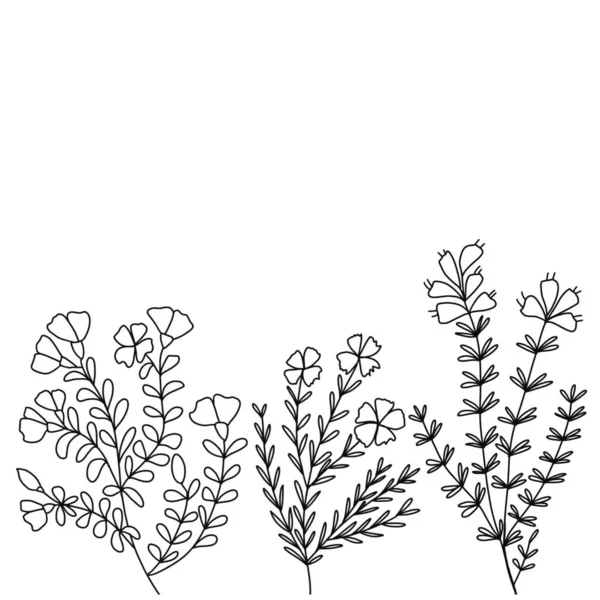 Schwarz-weißes Bild von Wiesenblumen und Zweigen — Stockfoto