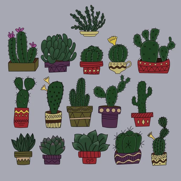 Uppsättning av kaktusar i krukor på en grå bakgrund — Stockfoto