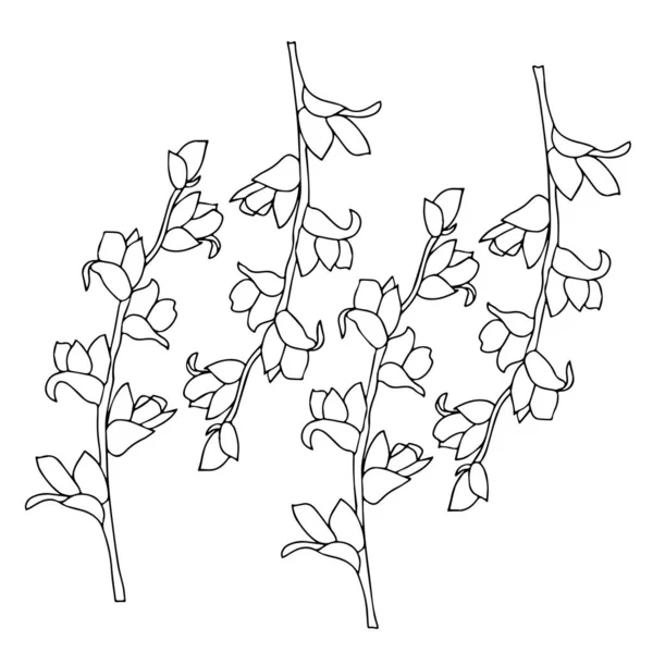 Pattern of black and white twigs with unblown flowers in vector graphics. For the design of textiles, wrapping paper — Stock Vector