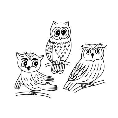 Beyaz arka planda vektör grafiklerinde sevimli baykuşlar kümesi. Giysiler üzerinde baskı yapmak için, çocuk kitapları, boyama, defter kapakları için.