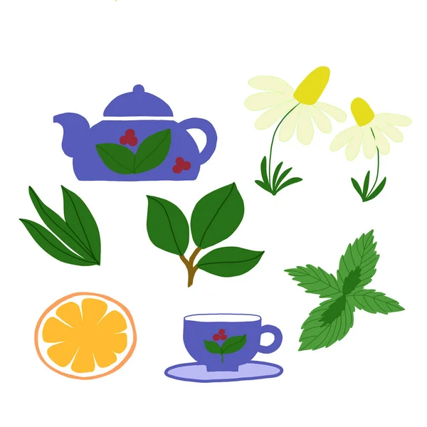 Vector set on a white background of a cup, teapot, tea leaves, mint and chamomile. For menu design, packaging, wallpaper — Stock Vector