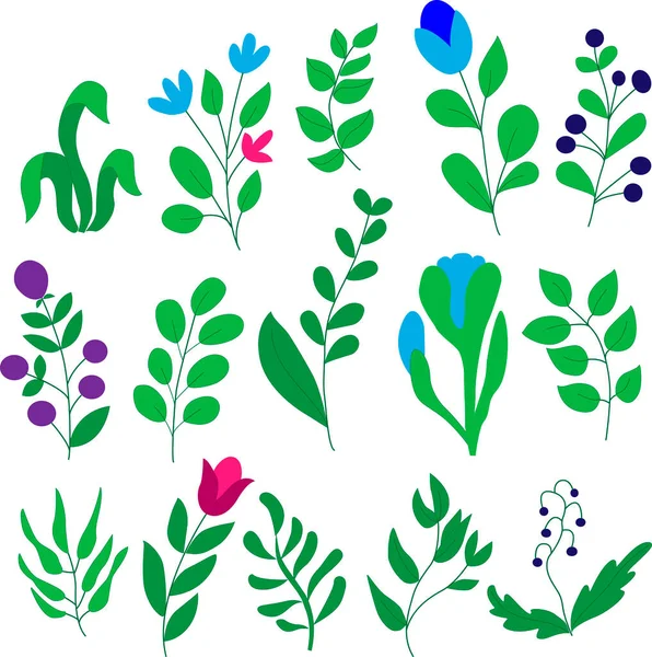 Ensemble de feuilles, fleurs, brindilles sur fond blanc dans des graphiques vectoriels. Pour la conception de papier peint, illustrations botaniques, papier d'emballage, textiles — Image vectorielle