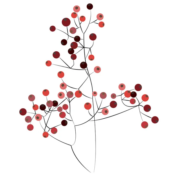 Stilisierte Zweige mit kleinen roten Beeren auf weißem Hintergrund. Botanische Illustration. Zur Dekoration von Geschirr, Textilien, Postkarten, Drucken auf Kleidung, Postern, Notizbüchern — Stockvektor