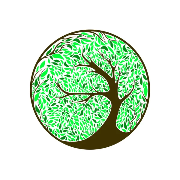 Árbol vectorial estilizado sobre fondo de ornamento — Vector de stock