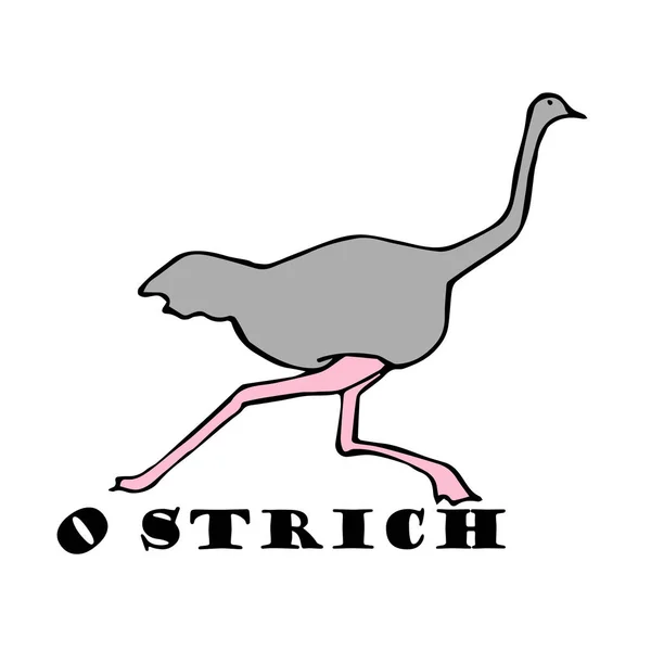 Ручной набросок страуса, рисунок . — стоковый вектор