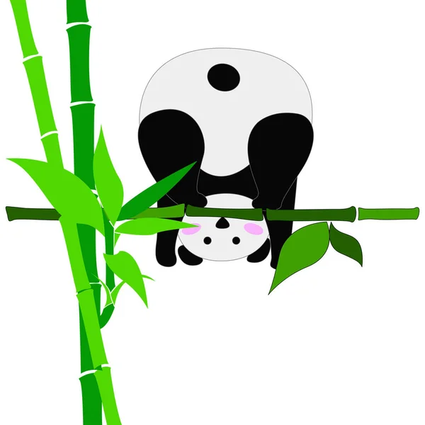 Komik Panda vektör çizim — Stok Vektör