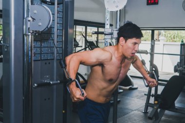 Asyalı kaslı adamlar spor salonunda ağırlık kaldırıyor..