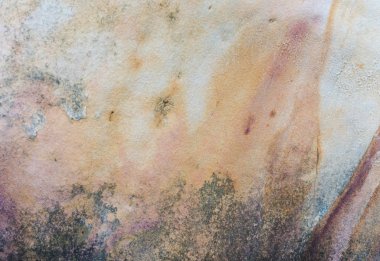 Sahildeki kayalar, arka plan ve doku