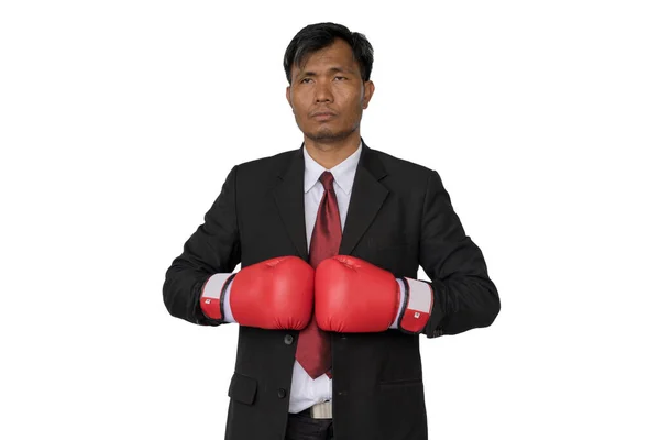 Asian businessman Put boxing gloves to punch. — Stock Photo, Image