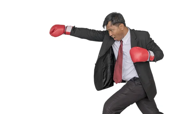Asiatisk affärsman Sätt boxningshandskar att slå. — Stockfoto