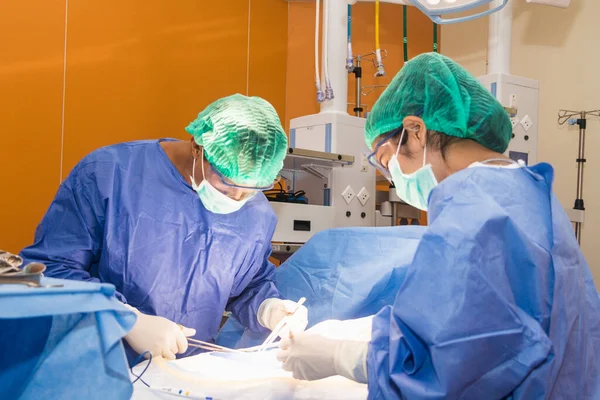 A sebész csapat műti a betegeket. — Stock Fotó