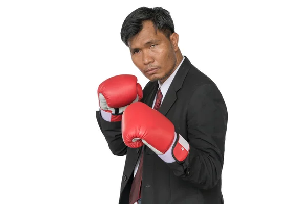 Asiatischer Geschäftsmann zieht Boxhandschuhe an. — Stockfoto