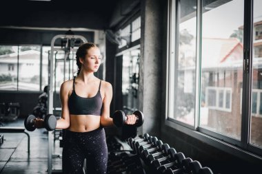 Güzel bayan sporcular spor salonunda egzersiz yapıyorlar. Dambılı kaldırarak. Spor salonunda bir sürü egzersiz malzemesi var..