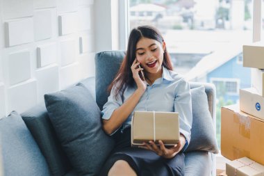 Asyalı kadın sme hakkında küçük bir iş kurdu. Kız siparişi internetten kabul ediyor. İnternet ve telefonla. KOBİ bağımsız bir iş kavramı.