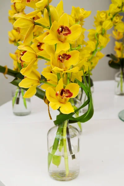 Flor de orquídea en espectáculo flowe — Foto de Stock