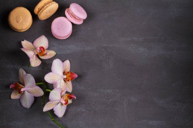 Orkide ve pasta macaron veya yukarıdan gri arka plan üzerinde acıbadem kurabiyesi