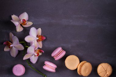 Orkide ve pasta macaron veya yukarıdan gri arka plan üzerinde acıbadem kurabiyesi
