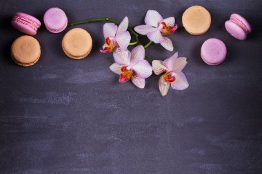 Orkide ve pasta macaron veya yukarıdan gri arka plan üzerinde acıbadem kurabiyesi