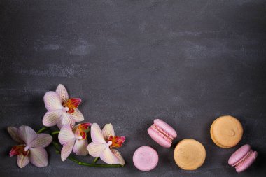 Orkide ve pasta macaron veya yukarıdan gri arka plan üzerinde acıbadem kurabiyesi