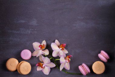 Orkide ve pasta macaron veya yukarıdan gri arka plan üzerinde acıbadem kurabiyesi