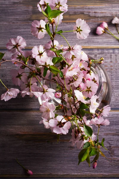 Pink flowers in vase on gray wooden background. Springtime blooming. Flower bouquet