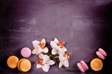 Orkide ve pasta macaron veya yukarıdan gri arka plan üzerinde acıbadem kurabiyesi. Düz yatıyordu, en iyi görünüm. Çiçek ve çerez natürmort