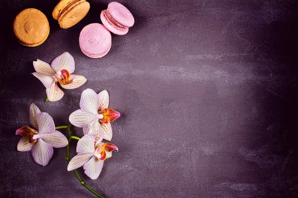 Orkide ve pasta macaron veya yukarıdan gri arka plan üzerinde acıbadem kurabiyesi. Düz yatıyordu, en iyi görünüm. Çiçek ve çerez natürmort