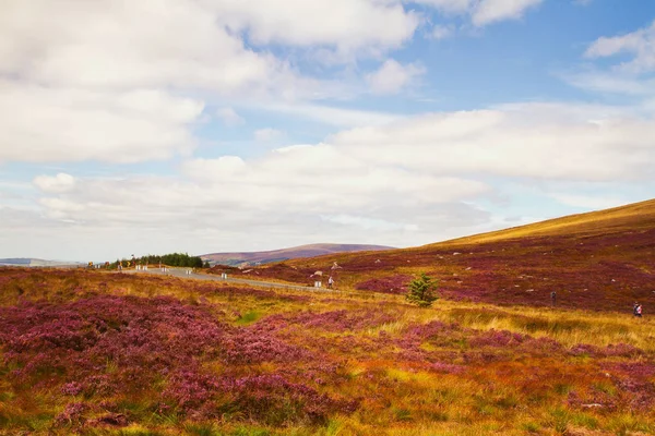 Güzel manzaralı dağ manzarası. Wicklow Dağları Milli Parkı, County Wicklow, Ireland — Stok fotoğraf