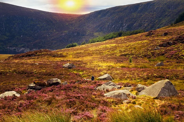 Güzel manzaralı dağ manzarası. Wicklow Dağları Milli Parkı, County Wicklow, Ireland — Stok fotoğraf