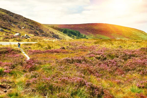 Güzel manzaralı dağ manzarası. Wicklow Dağları Milli Parkı — Stok fotoğraf