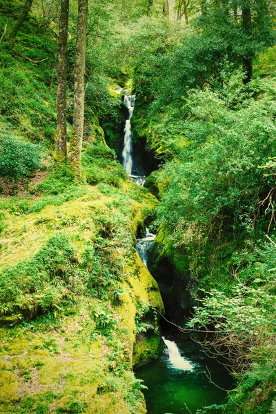 Cachoeira na floresta. Paisagem montesa — Fotografia de Stock