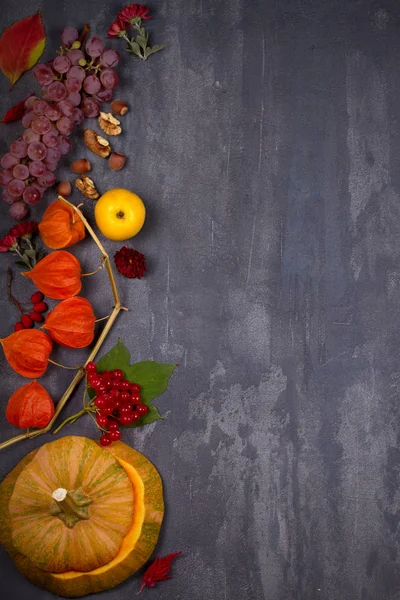 Harvest or Thanksgiving background. Thanksgiving Day food concept. Autumn fruits, vegetables, leaves and flowers