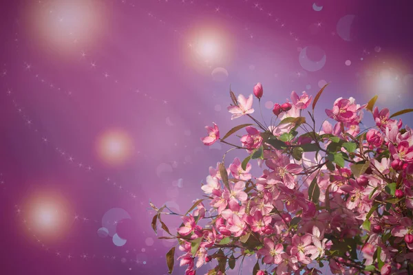 Blütenbaum Auf Dem Hintergrund Der Natur Schöne Frühlingsszene Mit Blühendem — Stockfoto