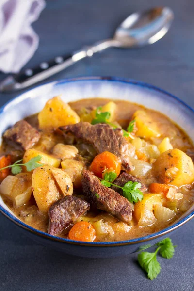 Fogão Lento Guisado Carne Grossa Robusta — Fotografia de Stock