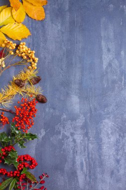 Noel ağacı dalları, kırmızı böğürtlen ve çam kozalaklarından yapılmış. Mockup, düz yat. Noel ve Yeni Yıl Kış mevsimi konsepti, kopyalama alanı