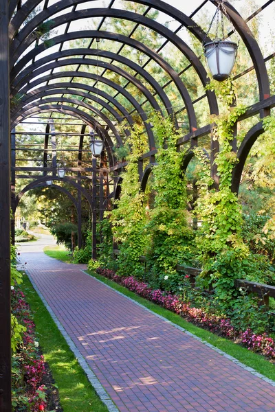 Hermoso Callejón Bajo Arco Jardín Madera Parque Público Diseño Jardinería — Foto de Stock