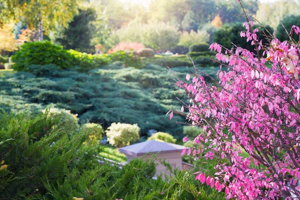Vista Panorámica Hermoso Jardín Paisaje Con Colorida Planta Cama Flores — Foto de Stock