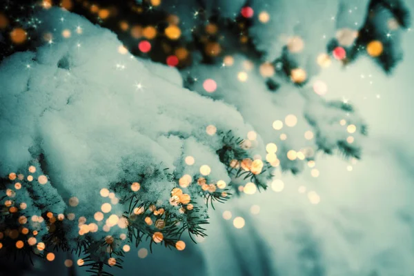 Noel Ağacının Dalları Karla Kaplanmış Noel Yeni Yıl Tatili Geçmişi — Stok fotoğraf