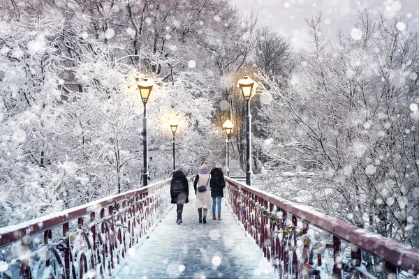 Bridge Park Winter Snowy Nature Landscape — Stock Photo, Image