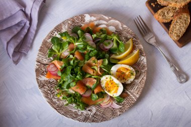 Somon yumurtası turpu ve kuzu salatası. Sağlıklı diyet yemekleri