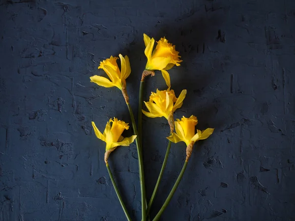 Układ Wykonany Kwiatów Żonkila Wiosenne Tło Kwiatu — Zdjęcie stockowe