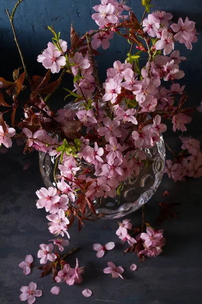 Wiosenne Kwiaty Owoców Wazonie Bukiet Kwiatów Widok Góry Widok Góry — Zdjęcie stockowe