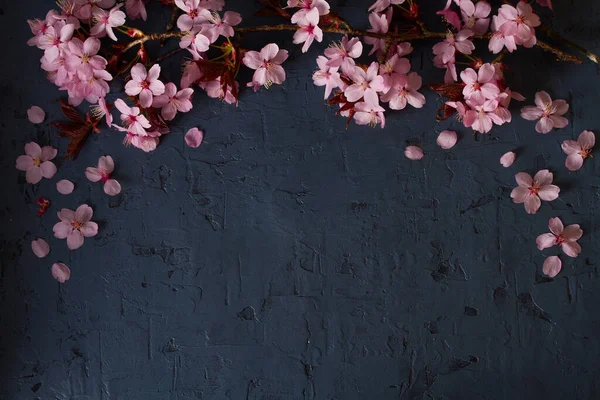 Planlösning Gjord Vårens Fruktblommor Våren Blomma Bakgrund — Stockfoto