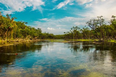 Sudaki Ayna Yansıması