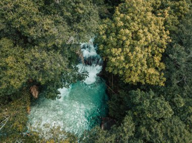  Fervedouro Bela Vista, turistlerin Jalapao, Tocantins bölgesinde yüzebildikleri kumdan filizlenen kristal su kaynaklarından biridir.