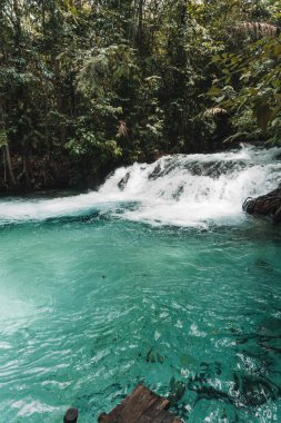 Tocantins Brezilya 'daki Jalapao Eyalet Parkı - Cachoeira da Formiga.